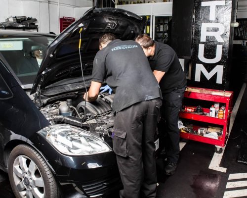 Revision oficial en Antequera